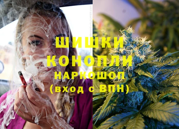 гидропоника Алзамай