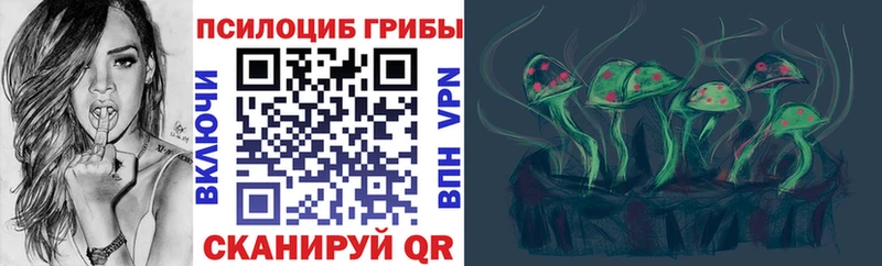 Псилоцибиновые грибы Psilocybine cubensis  Лянтор 